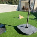 반월공원입구(17231) | ★신나고 재밌었던 10년지기 댕프모임 -카페사개동탄반월점 루프탑 대관★