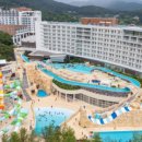 스플라스리솜 이미지