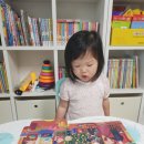 인형의 거리(쥐) 이미지