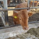 농업기술센터 농업미생물관 이미지