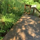 온리앳오운리 이미지