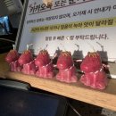 금평목장 네이버블로그