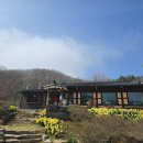 은봉애견 네이버블로그