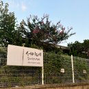 2491민박 네이버블로그