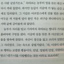 아르망스