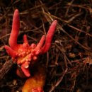 쉼터사슴 이미지