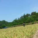 (주)의성 이미지