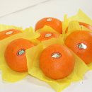 남원읍-88 이미지