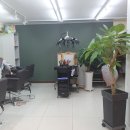 마이트엉헤어 이미지