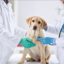 더퍼스트병원 이미지