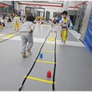 라온제나 태권도 이미지