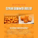 손지농장 네이버블로그