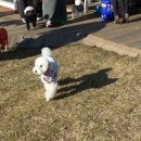 경방농장 이미지