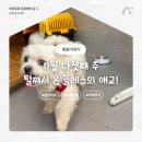 하안동물병원 이미지