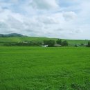 송진목장 이미지