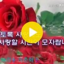 살다보니(49)-조선 사람인가? 일본사람인가? 이미지