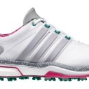 아젤리아 이미지