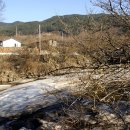 산수유 축제가 열리는 구례 가볼만한 곳 이미지