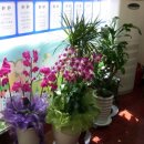 태평양공인중개사사무소 이미지