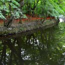 선운사의추억 이미지