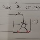 1500제 20장 전기화학 20.2.1 질문 이미지