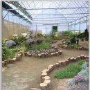 건강나라 이미지