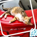 영천대성주유소 이미지