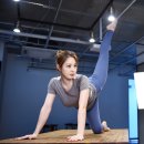 신수지 카카오 검색결과