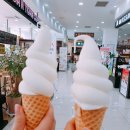 사파동253 이미지