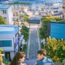 동백꽃필무렵 - 서귀포시 | 동백꽃필무렵