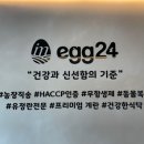 에그24 이미지