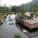 욜로오이소 이미지