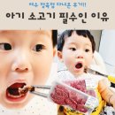 우리슈퍼,정육점 | 여수 정육점 아기 유아식 소고기 섭취 이유 한우마마 소호점