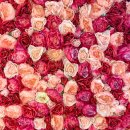 이금희와 함께하는 더 클래식 하우스 콘서트 이미지