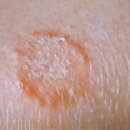 쓰담쓰담 동물병원 이미지