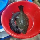 시장회타운 이미지