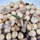 뉴힐링캠프 이미지