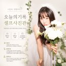 해운대 셀프사진관 해운대 증명사진 해운대 여권사진 오늘의기록 셀프촬영 후기