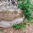 계곡사랑 이미지