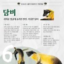 담비 - 안동시 | 담비