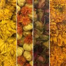 초연다구박물관 이미지