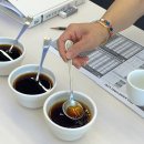 바리스타 자격증 오전 이미지