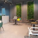 노형점 기아오토큐 이미지