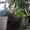 열미리보건진료소 이미지