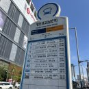 영도구-10 해양대학교 입구 | 부산 갈맷길#20 부산 갈맷길 3-3구간 완보 후기(영도절영산책로입구(관리센터)~태종대 전망대~아미르공원)