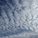 구름따라 이미지