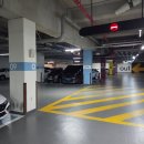 딱이야 - 강북구 도봉로 386-4 | 점심 해장으로 딱이야 부산 명지 쌀국수 맛집 미분당 후기