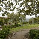 악양농협주유소 이미지