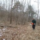 송해면-4 이미지