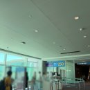 국제하우징유한회사 | 샤먼항공 발리행 경유포함 이용후기, 가격, 환승